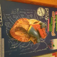 ۳ جلد کتاب زیست شناسی دهم جامع خیلی سبز و نشرالگو