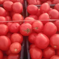 فروشی گوجه