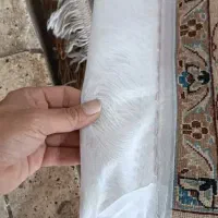 قالیشویی وحیدیه تسلیحات مدنی نارمک ۲۴ ساعته|خدمات نظافت|تهران, وحیدیه|دیوار