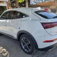 دیگنیتی  پرایم  تومارون کم کار  کاملا خانگی.