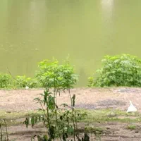 هوازی بدنسازی کوهنوردی