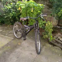 سالار جاده ها|دوچرخه، اسکیت، اسکوتر|سنگر, |دیوار