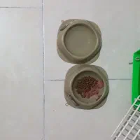 واگذاری گربه|گربه|اندیشه, اندیشه فاز ۲|دیوار