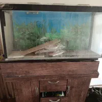 فروش آکواریوم ۱۰۰×50*30همراه با لوازم