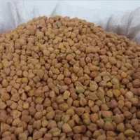 نخود قرمز