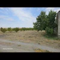 زمین برای سرمایه گذاری