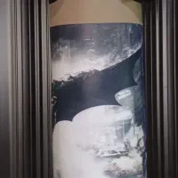 کیسه بوکس و  دستکش بوکس