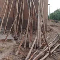 چوب