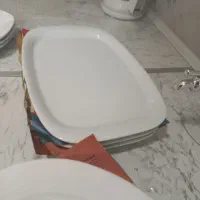 سه عدد دیس به شکل مستطیل وبیضی