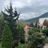 4500 مترزمین در کلاردشت داخل بافت با سند شش دانگ|فروش زمین و ملک کلنگی|کلاردشت, |دیوار