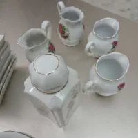 ظروف چینی