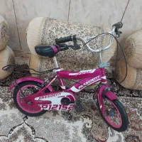 دوچرخه