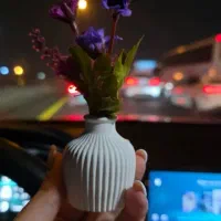 مراکشی گلدان ۵سانتی|گل و گیاه طبیعی|مشکین‌دشت, |دیوار