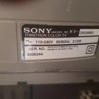 تلویزیون ۲۹ اینچ سونی|تلویزیون و پروژکتور|شیراز, رکنآباد|دیوار