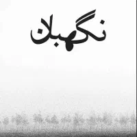 نگهبان جوان حرفه ای با سابقه بالا