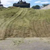 ذرت علوفه ای (سیلو)