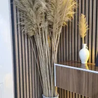 گل نی|گل مصنوعی|سرپل ذهاب, |دیوار