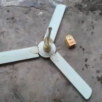 پنکه سقفی با پره و کلید دیواری|پنکه و تصفیهکنندهٔ هوا|رشت, جانبازان|دیوار