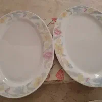 دیس پلوخوری