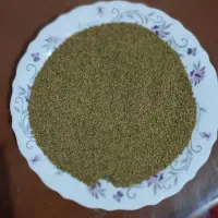 بزر یونجه|عمدهفروشی|کنگاور, |دیوار