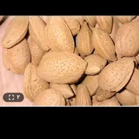 با سلام فروش  بادام  سپیدان  خوشمزه خوش‌طعم|خوردنی و آشامیدنی|شیراز, تندگویان|دیوار