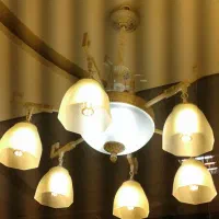 لوستر شاخه ای لامپ بزرگ|لوستر و چراغ آویز|تبریز, |دیوار