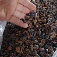 کشمکش گله درگز