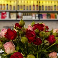 استخدام باریستا در بهترین کافه