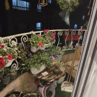 آپارتمان|فروش آپارتمان|رشت, بلوار گیلان|دیوار