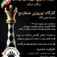 کارگاه آموزشی شطرنج