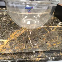 کاسه بزرگ اش