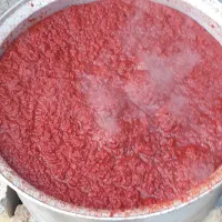 رب‌خانگی‌بهداشتی‌سالم