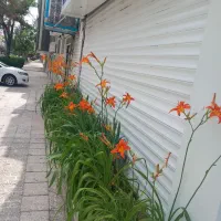 مغازه-تجاری-73-متری-حاشیه-اقبال-لاهوری-وکیل-اباد