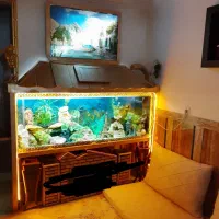 اکواریوم دو متری با کابینت هاکلاس اصل|ماهی|ارومیه, |دیوار