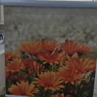 پرده|پرده، رانر، رومیزی|تهران, امام حسین|دیوار