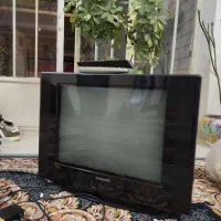 بخاری و تلویزیون