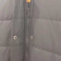 کاپشن زنانه|لباس|اهواز, امانیه|دیوار