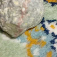 سنگ|جواهرات|کرمان, |دیوار