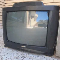 تلویزیون