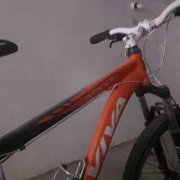 دوچرخه ویوا اپل ویتنام تضمینی