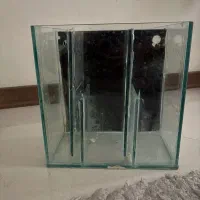 ۲ عدد اکواریوم اب شور به همراه لوازم کامل|ماهی|مشهد, ملک‌آباد|دیوار