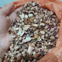 ضایعات حبوبات جهت مصرف دام|لوازم جانبی حیوانات|شیراز, شهرک والفجر|دیوار