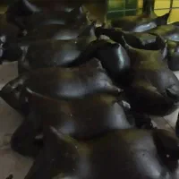 روغن حیوانی هورامان