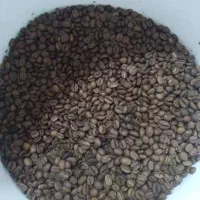 فروش قهوه هر نمونه ای بخواهی هست