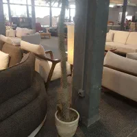 کار خدمات و تمیزکاری مبلمان