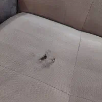 مبل راحتی باغ، آرایشگاه، مغازه|مبلمان خانگی و میز عسلی|خوی, |دیوار