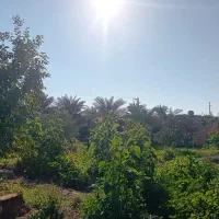 زمین-مسکونی-شهرحربیت-چریم