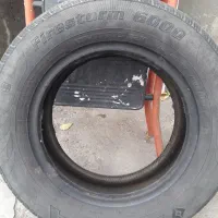 لاستیک پیکان