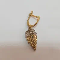 گوشواره گم شده است