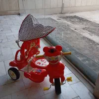 سه چرخه گربه